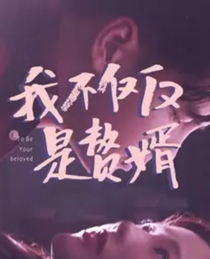 我不仅仅是赘婿(全集)