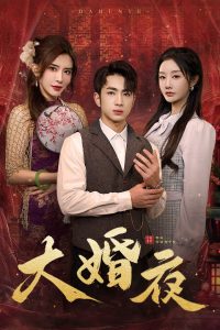 大婚夜第1-20集